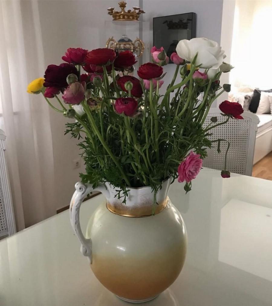 Διονύσης Σχοινάς – Καίτη Γαρμπή: Εικόνες από το σπίτι τους στη Νέα Ερυθραία – Μοιάζει με παλάτι