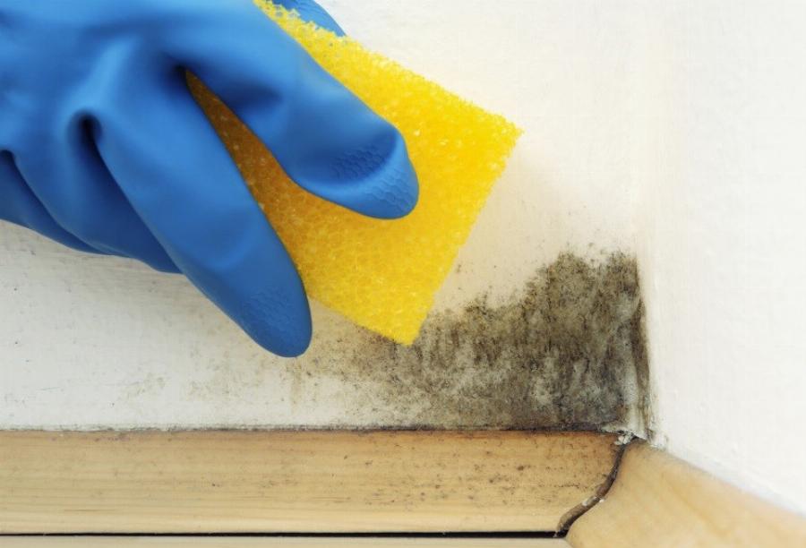 Μυστικά της γιαγιάς για την ενημέρωση όλων των νοικοκυρών: Κάθε σύγχρονη νοικοκυρά πρέπει να τα γνωρίζει