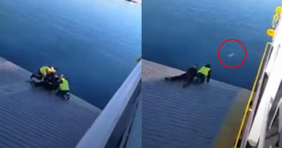 Ναυτικοί φέρι μποτ έσωσαν σκύλο που βρήκαν στη θάλασσα μεταξύ Περάματος και Σαλαμίνας