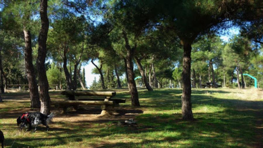 «Έχουμε χάσει τον ύπνο μας» λένε οι κάτοικοι της Θεσσαλονίκης: Συνεχίζεται ο μυστηριώδης ήχος στο Σέιχ Σου