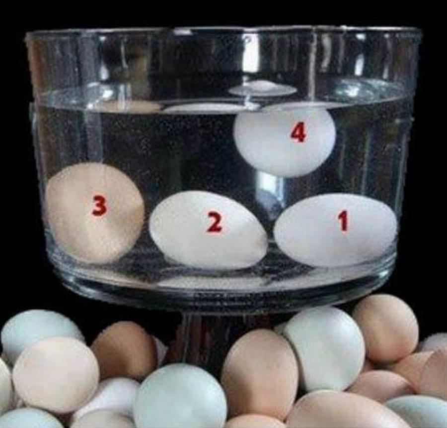 Φρέσκα αυγά: Ο πανέξυπνος τρόπος για να καταλάβεις αν είναι πραγματικά φρέσκα