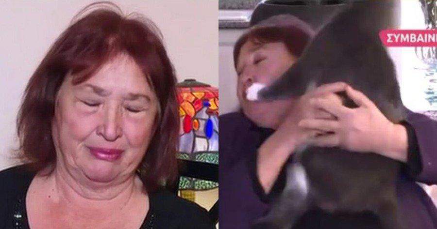 Η στιγμή που η Ρούλα Βροχοπούλου δέχεται επίθεση σε ζωντανή μετάδοση από τη γάτα της