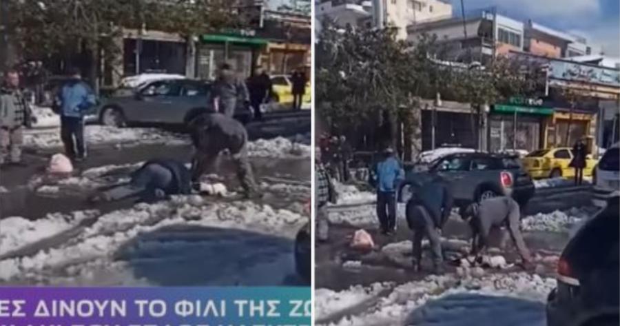 Άντρας δίνει τις πρώτες βοήθειες σε σκυλίτσα που έπαθε ηλεκτροπληξία στο Ελληνικό