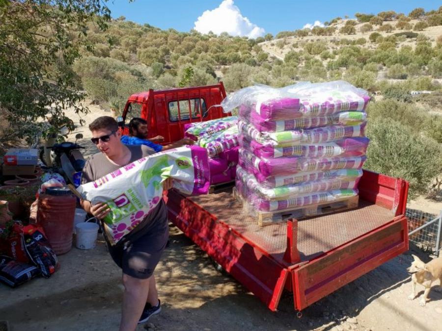 Τάκης Προεστάκης: Ο Κρητικός που παράτησε τη νύχτα, ξόδεψε όλη του την περιουσία για τα αδέσποτα ζώα και αποθεώθηκε παγκοσμίως