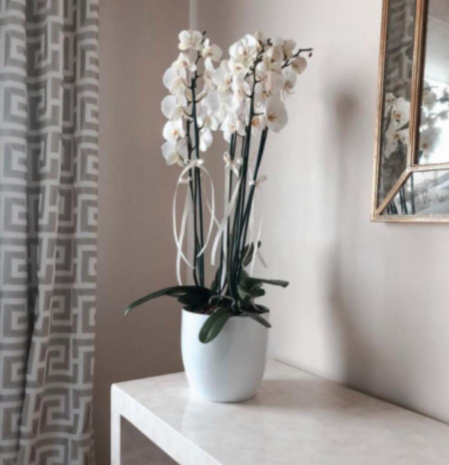 Στεφανίδου – Ευαγγελάτος: Το πανέμορφο σπίτι στην Κηφισιά, η λαμπερή κρεβατοκάμαρα και η μεγάλη κουζίνα