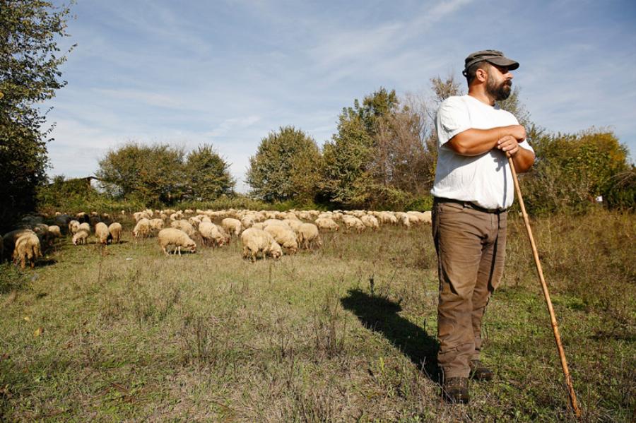 Βοσκός από την Αιτωλοακαρνανία βρήκε 50.000 σε δοχείο που αγόρασε και έκανε κεράσματα στο χωριό 14.000 ευρώ