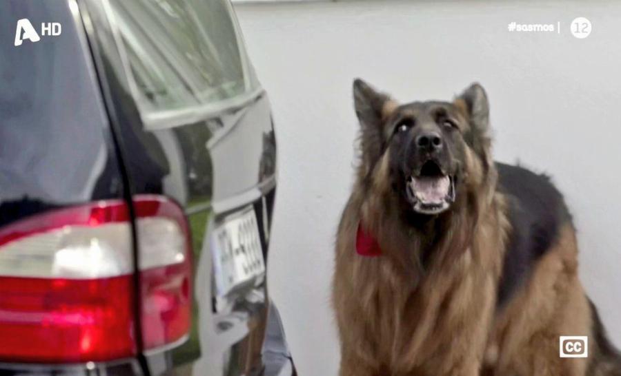 Σασμός: Η Μανταρίνα έκλεψε τις καρδιές όλων στο τελευταίο αντίο του Πετρή και έκανε όλη την Ελλάδα να δακρύσει