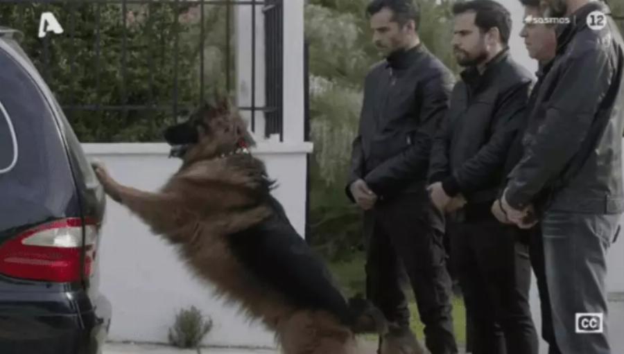 Σασμός: Η Μανταρίνα έκλεψε τις καρδιές όλων στο τελευταίο αντίο του Πετρή και έκανε όλη την Ελλάδα να δακρύσει