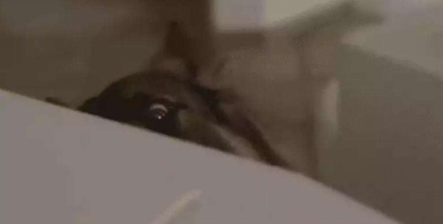 Σασμός: Η Μανταρίνα έκλεψε τις καρδιές όλων στο τελευταίο αντίο του Πετρή και έκανε όλη την Ελλάδα να δακρύσει