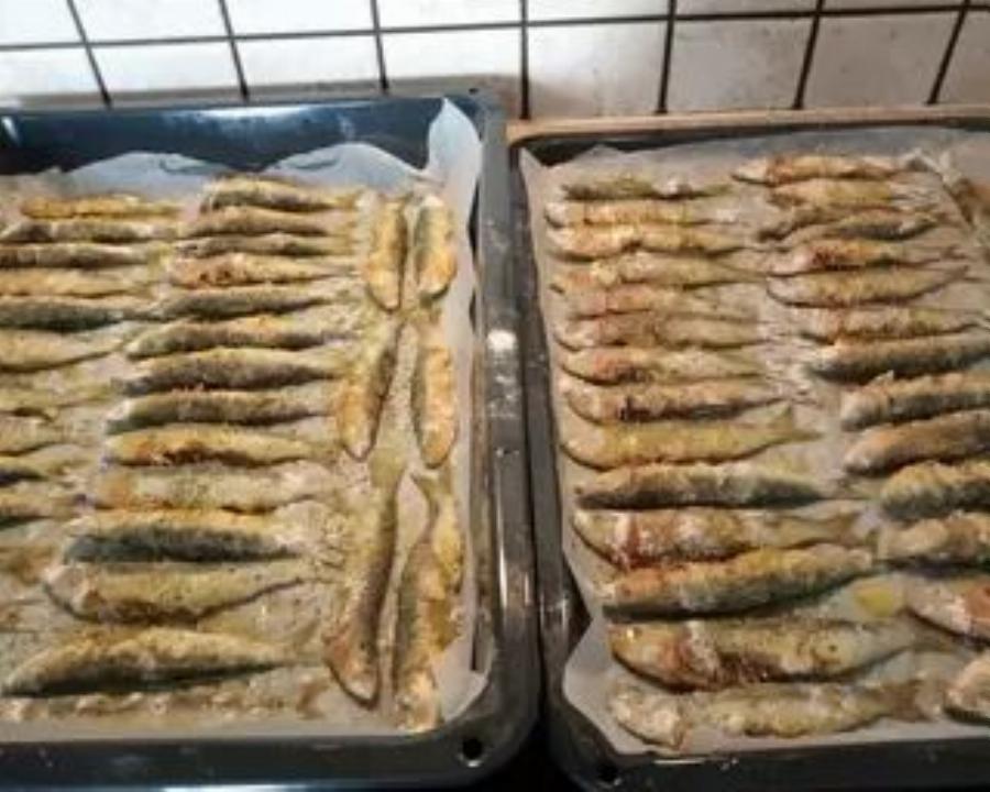 Σαρδέλες: Σπουδαία διατροφική αξία – Ποια είναι τα οφέλη τους και 2 υπέροχες συνταγές για να τις μαγειρέψετε