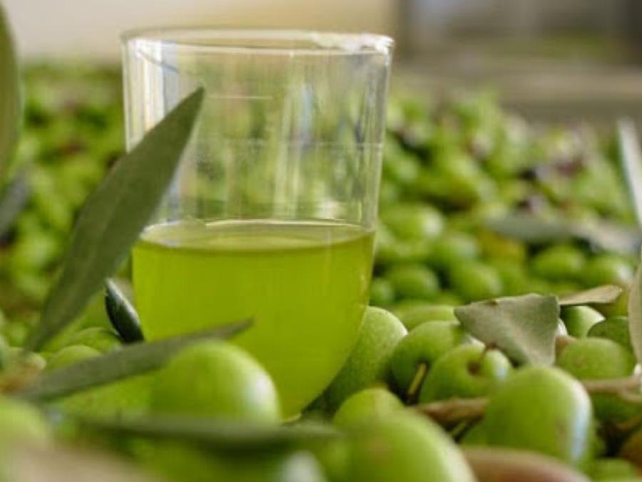 Ο μοναδικός τρόπος για να κάνεις την σωστή επιλογή για το πραγματικά καλό ελαιόλαδο