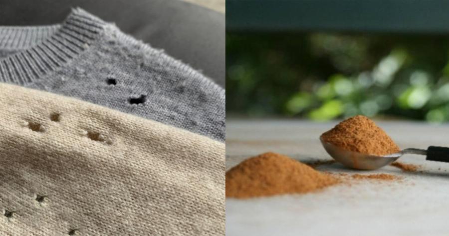 Σκόρος στην ντουλάπα: Με την βοήθεια της κανέλας και άλλων 2 υλικών θα γίνει παρελθόν