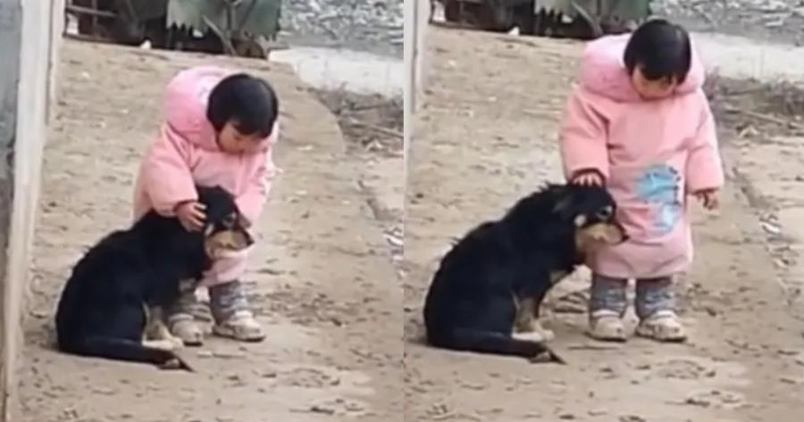 Τρυφερή στιγμή: Γλυκύτατη μπέμπα κλείνει τα αυτιά κουταβιού για να μη τρομάζει από τα βεγγαλικά