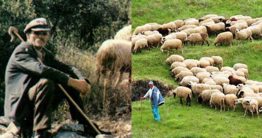 Συμβουλές ζωής: Οι πιο σημαντικές 25 συμβουλές που δίνει ένας παππούς γεροβοσκός