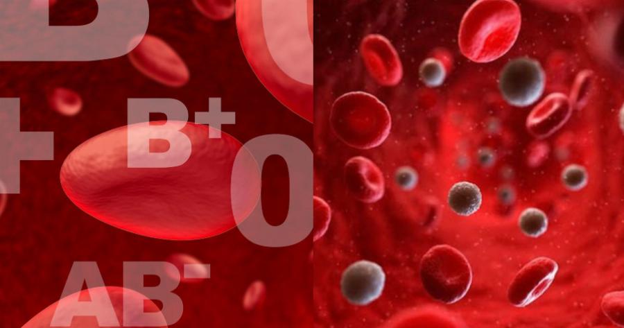 Ομάδα αίματος «0»: Ο λόγος που οι άνθρωποι με αυτή την ομάδα αίματος είναι ξεχωριστοί