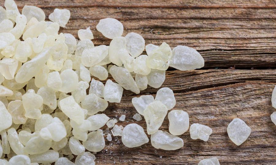 Μαστίχα Χίου: Τα οφέλη για την καρδιά και οι θεραπευτικές δράσεις για τη χοληστερόλη