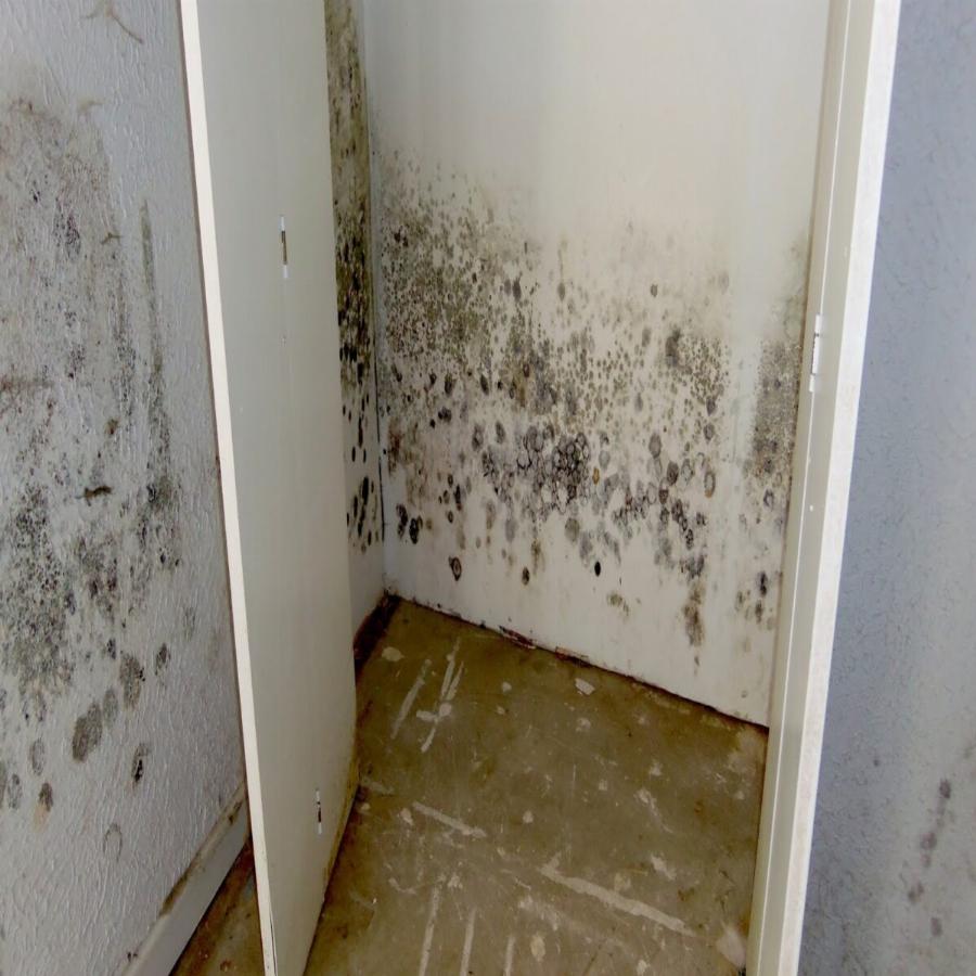 Συμβουλές: Τι να κάνετε για να μην πιάνει μούχλα το ντουλάπι σας