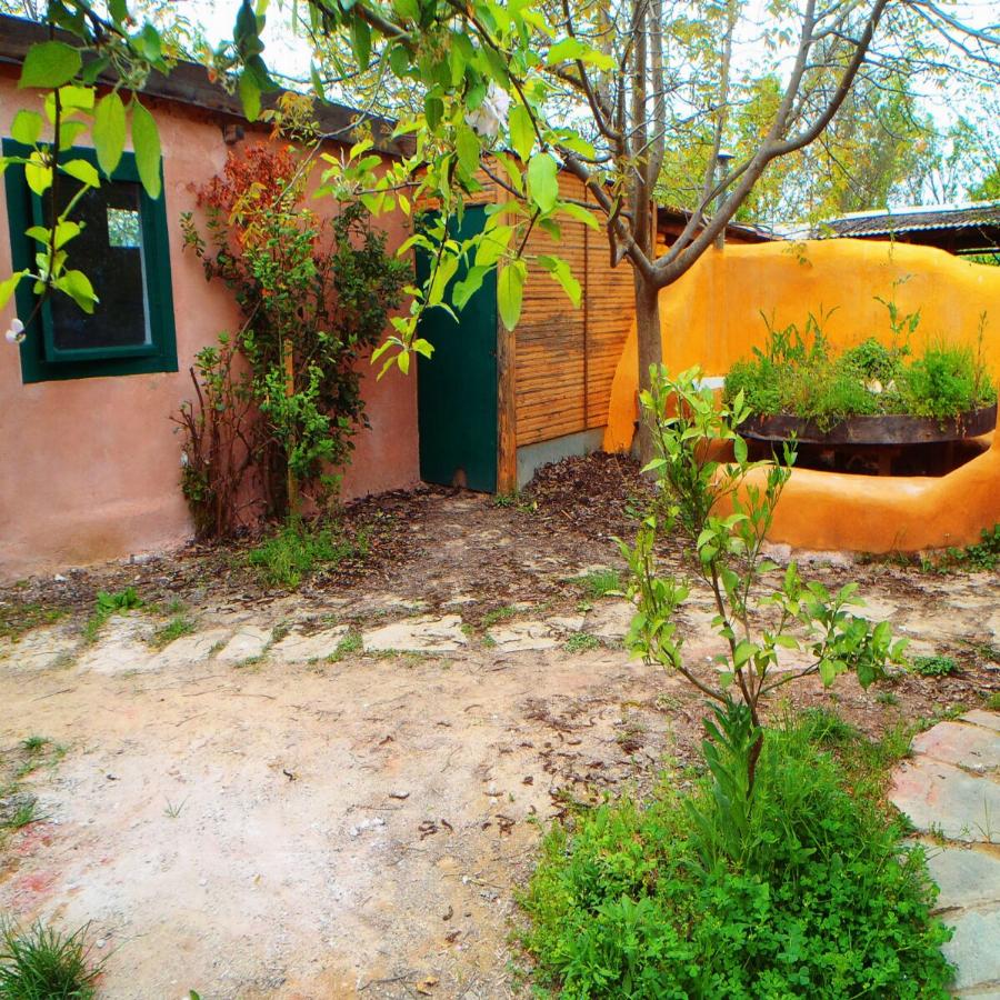 Παρέα νεαρών εγκατέλειψε τη πόλη και ζούνε σε καλύβες έξω απ’τη Λάρισα χωρίς πολυτέλειες και ανέσεις