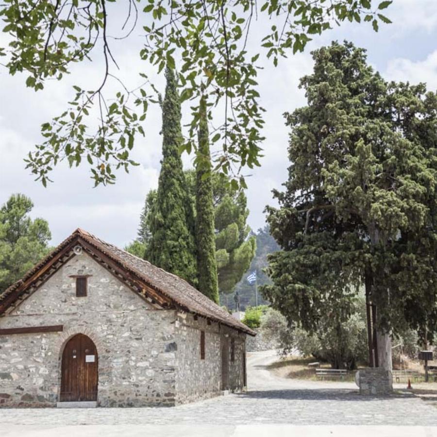 Γιατί στα νεκροταφεία φυτεύουν κυπαρίσσια – Η απάντηση της εκκλησίας