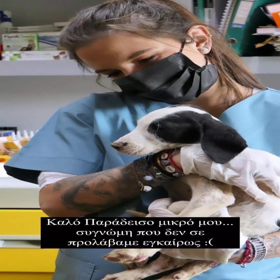 «Συγγνώμη που δεν σε προλάβαμε εγκαίρως»: Το συγκινητικό μήνυμα της Εριέττας Κούρκουλου στα μέσα κοινωνικής δικτύωσης