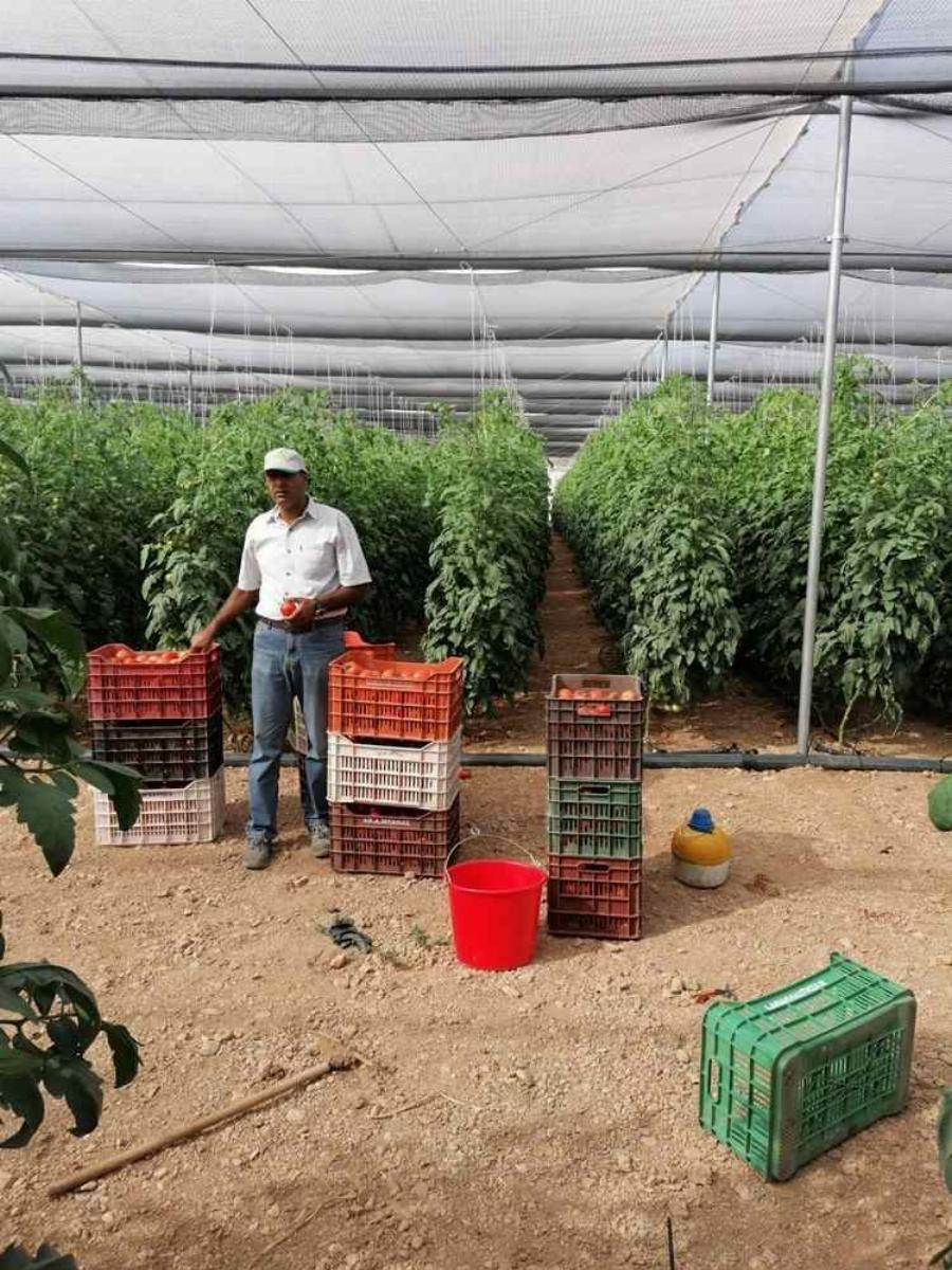 Αληθινή ιστορία: Με 170 ευρώ στην τσέπη ήρθε στην Έλλαδα, σήμερα έχει 1.000 στρέμματα και είναι ένας επιτυχημένος επιχειρηματίας