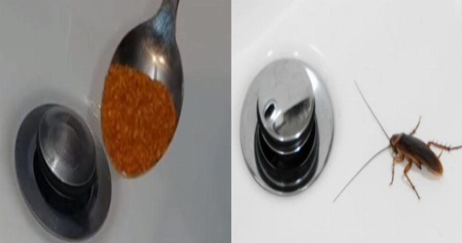 Κατσαρίδες στο μπάνιο: Χωρίς απολύμανση και με μόλις μια κουταλιά θα τις εξαφανίσεις για μήνες