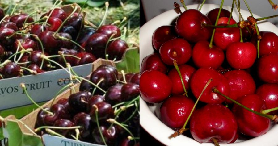 Κεράσια: Κάνουν καλό στην καρδιά, σε κάνουν να κοιμάσαι καλύτερα, βελτιώνουν την όρασή σου και προλαμβάνουν τον καρκίνο