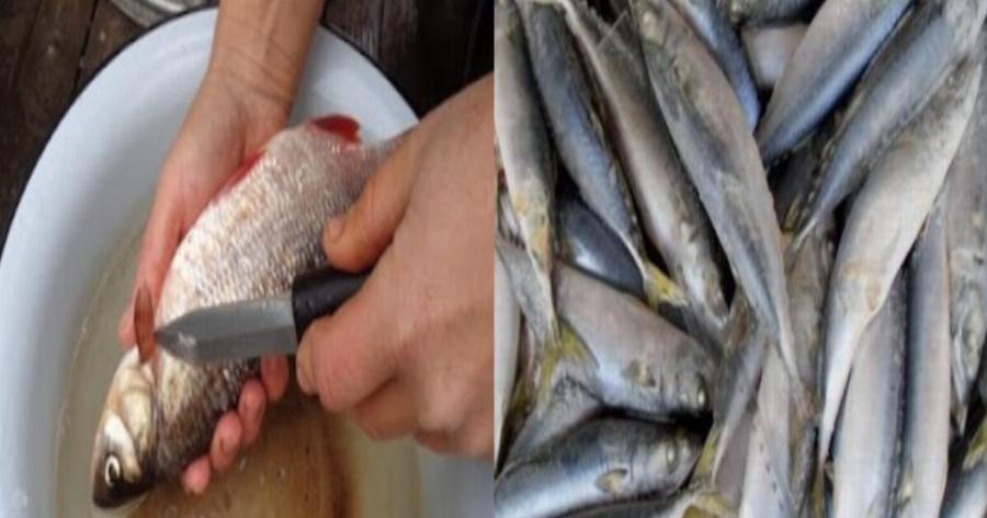 Ψάρια προς αποφυγή: 9 ψάρια που δεν πρέπει να καταναλώνουμε