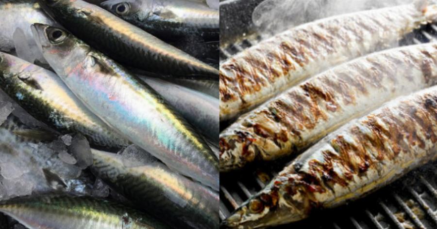 Κολιός: Απομακρύνουν τον κίνδυνο εμφράγματος και μειώνουν τον κίνδυνο θανάτου από καρδιακές αρρυθμίες