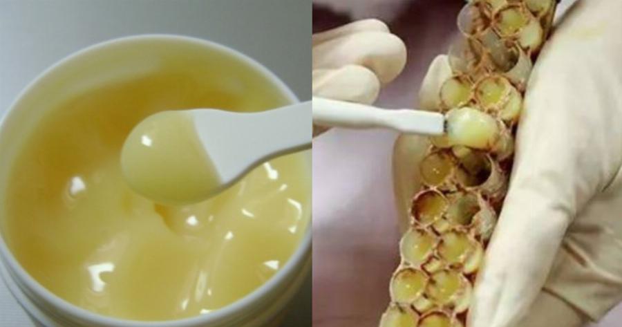 Βασιλικός Πολτός: Προλαμβάνει την πνευματική κόπωση, περιέχει ίχνη από βιταμίνες, τονώνει το δέρμα και είναι αντίδοτο στην τριχόπτωση