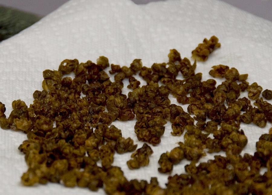 Κάππαρη: Σταματά τη διάρροια, θεραπεύει τα σπυράκια, βοηθά στην πρόληψη της τριχόπτωσης και επιβραδύνει τη διαδικασία γήρανσης