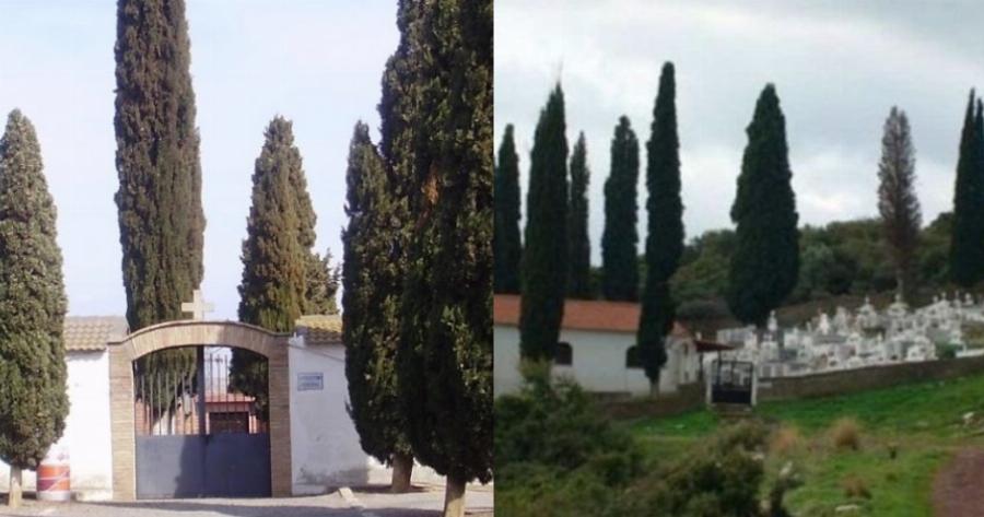 Γιατί στα νεκροταφεία φυτεύουν κυπαρίσσια – Η απάντηση της εκκλησίας