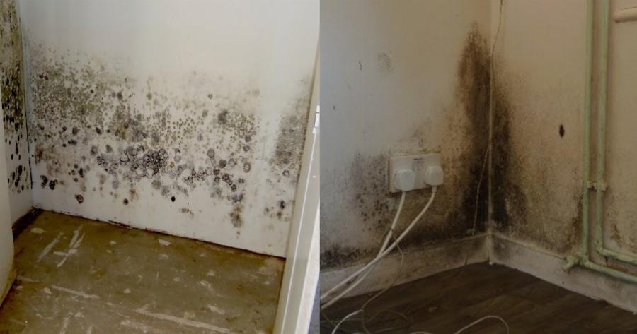 Συμβουλές: Τι να κάνετε για να μην πιάνει μούχλα το ντουλάπι σας