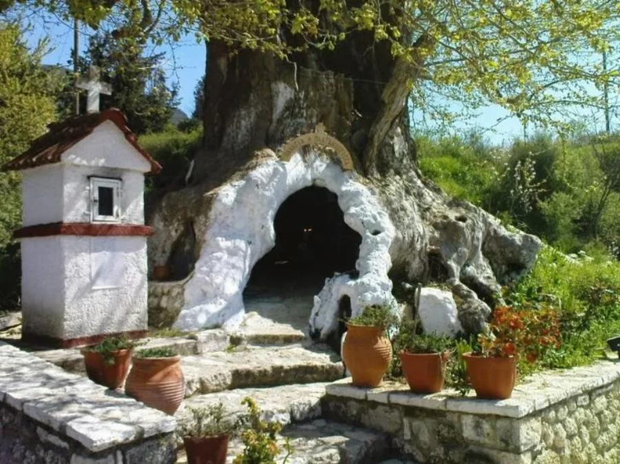 Πλάτανος που άντεξε πόλεμο και πυρκαγιά, μετατράπηκε σε εκκλησάκι της Παναγίας