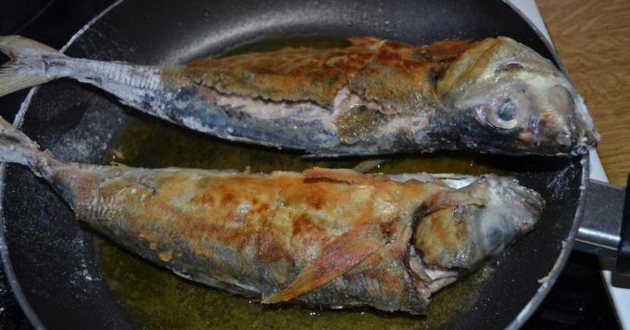 Τέλος στην τηγανίλα: Τρεις εύκολοι και δοκιμασμένοι τρόποι για να διώξετε την “τηγανίλα” από το σπίτι σας