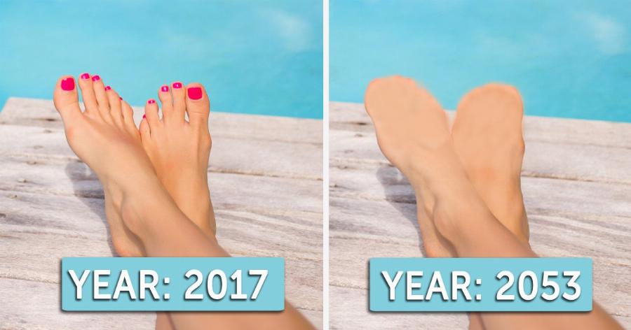 Αυτά είναι τα 15 μέρη από το ανθρώπινο σώμα που θα εξαφανιστούν στο μέλλον