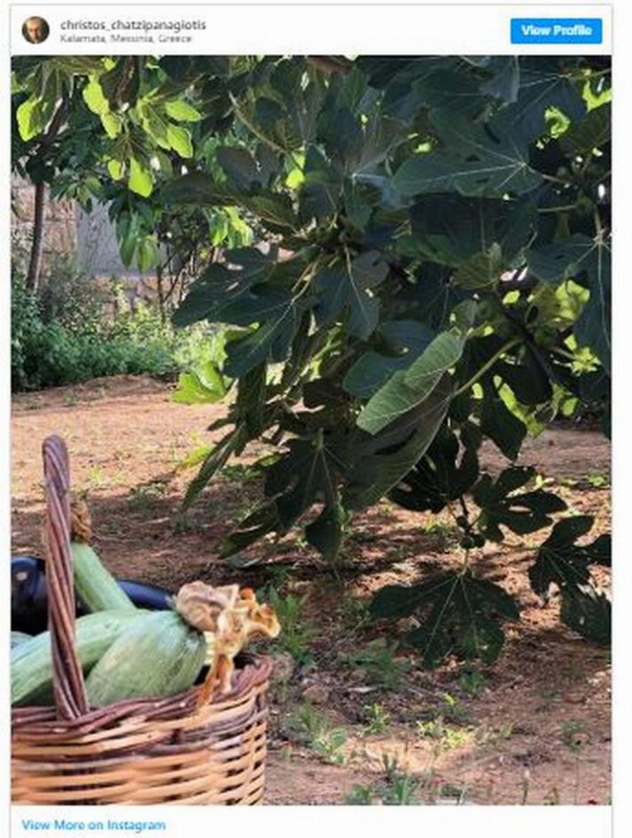 Βίκυ Σταυροπούλου – Χρήστος Χατζηπαναγιώτης: Η αγορά πολυτελούς κτήματος στη Μάνη και το μπαλκόνι με τη μαγευτική θέα