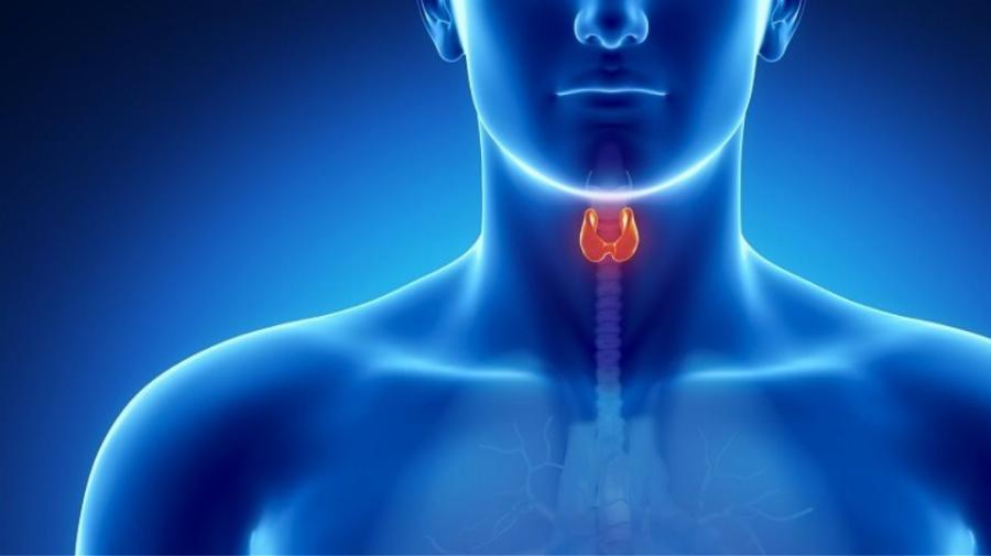 Ομάδα αίματος «0»: Ο λόγος που οι άνθρωποι με αυτή την ομάδα αίματος είναι ξεχωριστοί