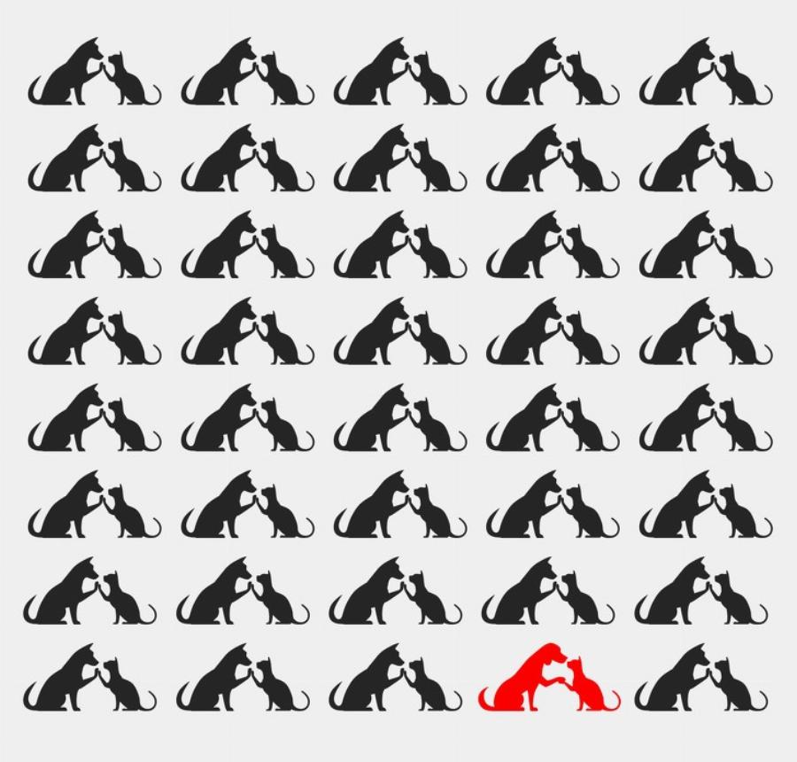 Έξυπνοι γρίφοι που θα δοκιμάσουν την ευφυΐα και την παρατηρητικότητά σας: 10 προβλήματα που ελάχιστοι λύνουν