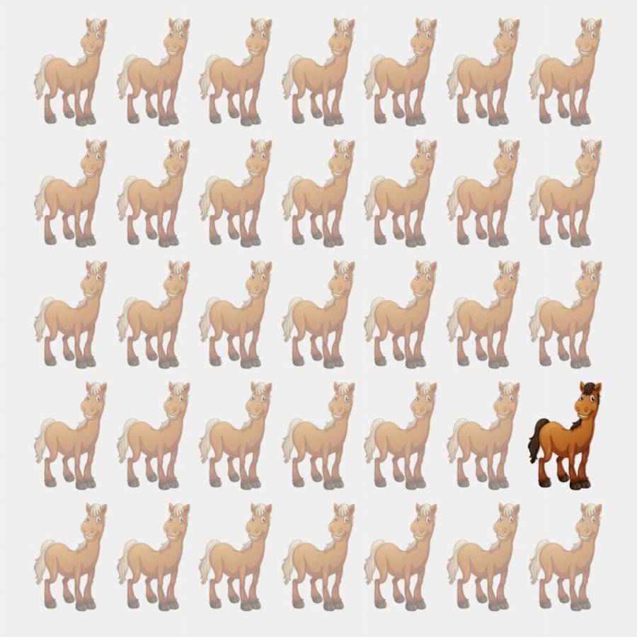 Έξυπνοι γρίφοι που θα δοκιμάσουν την ευφυΐα και την παρατηρητικότητά σας: 10 προβλήματα που ελάχιστοι λύνουν