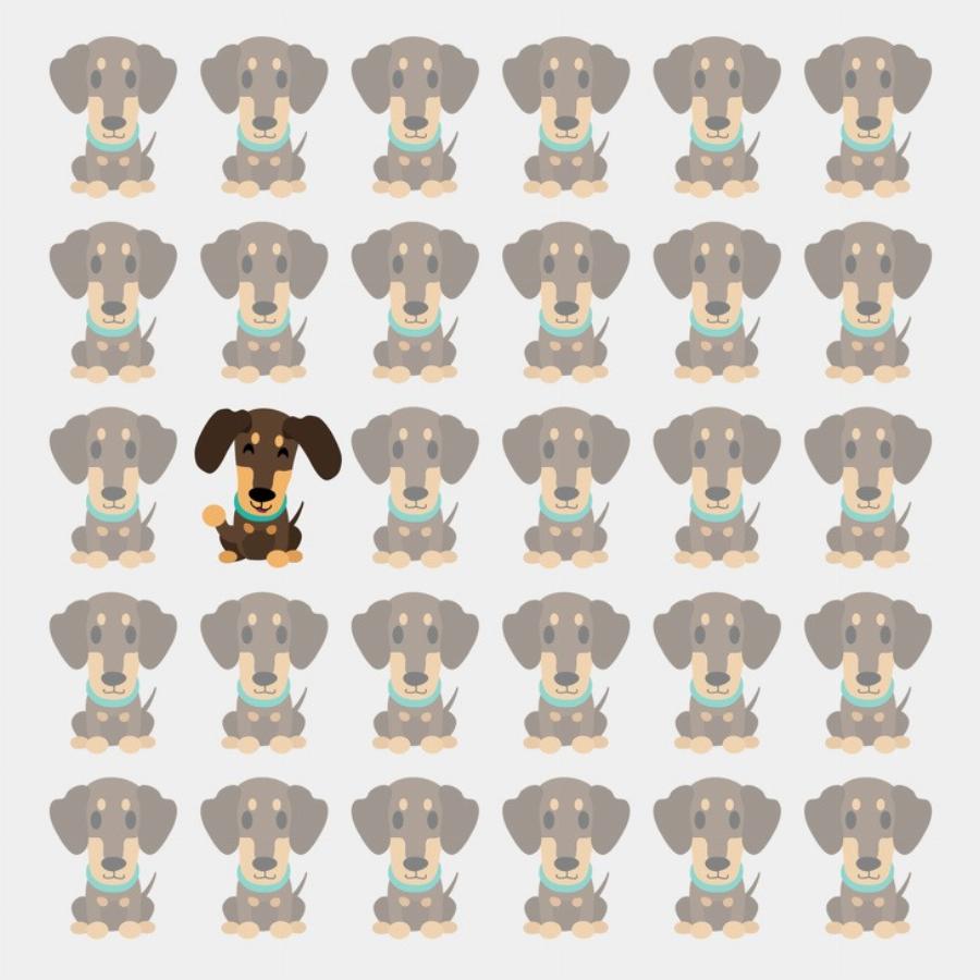 Έξυπνοι γρίφοι που θα δοκιμάσουν την ευφυΐα και την παρατηρητικότητά σας: 10 προβλήματα που ελάχιστοι λύνουν