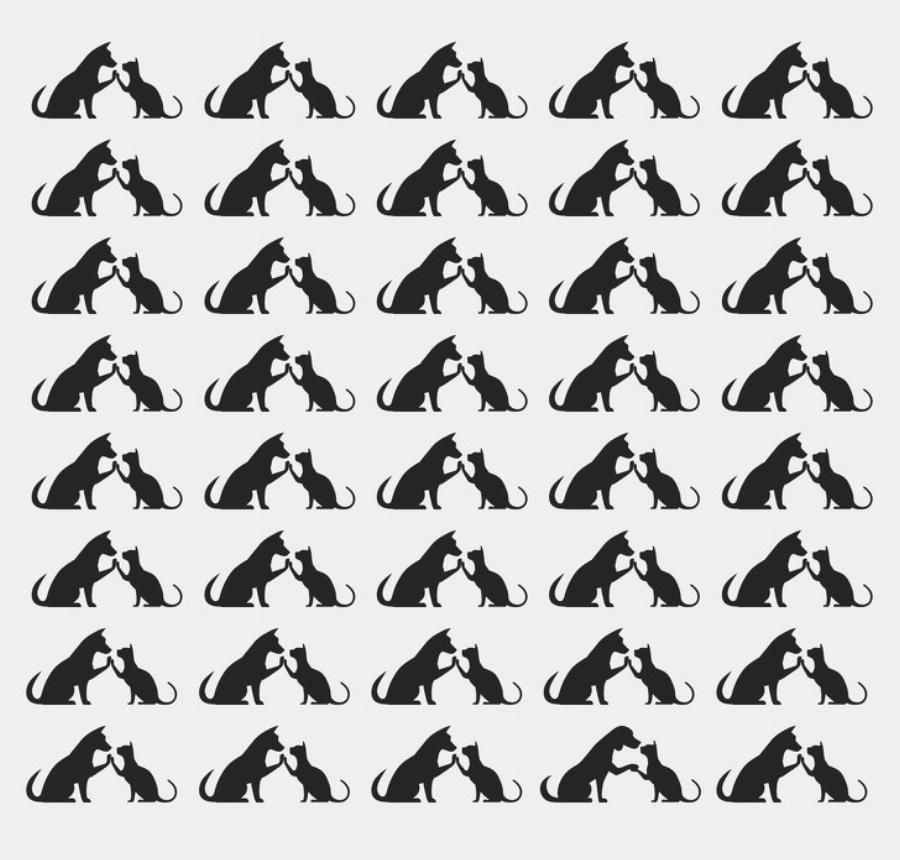 Έξυπνοι γρίφοι που θα δοκιμάσουν την ευφυΐα και την παρατηρητικότητά σας: 10 προβλήματα που ελάχιστοι λύνουν