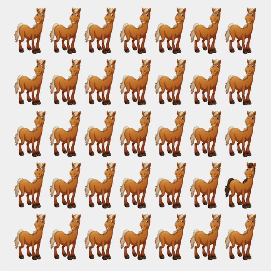 Έξυπνοι γρίφοι που θα δοκιμάσουν την ευφυΐα και την παρατηρητικότητά σας: 10 προβλήματα που ελάχιστοι λύνουν