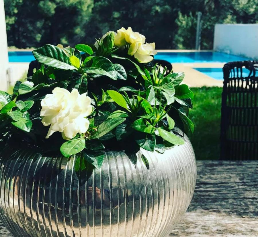 Βίλα Φουρθιώτη: Το σπίτι σαν παλάτι στην Εκάλη με δυο πισίνες και ο τεράστιος κήπος που προκαλεί εντύπωση