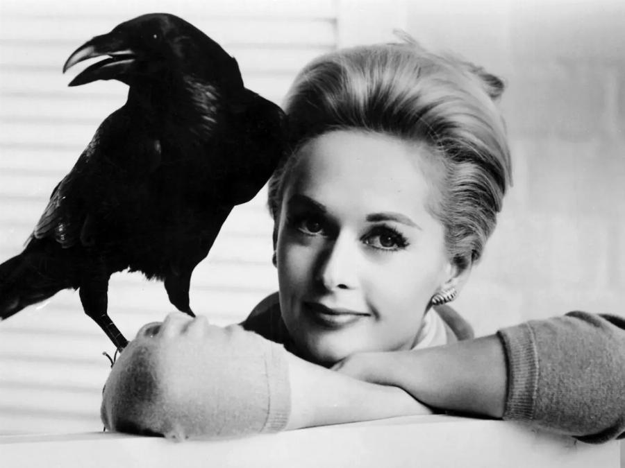 Στέλλα Μπαντέρας: Η κόρη των Αντόνιο Μπαντέρας και Μέλανι Γκρίφιθ μεγάλωσε και είναι μια καλλονή