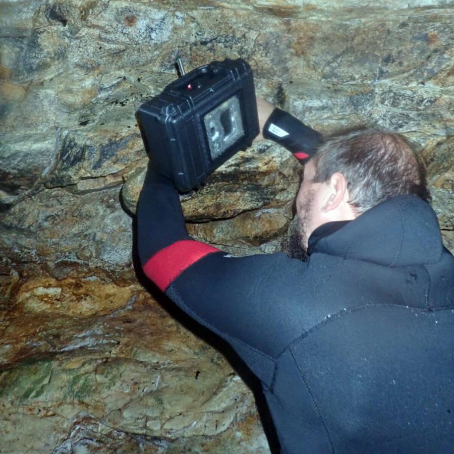 Αλόννησος: Εικόνες από τα 22 νεογέννητα φωκάκια στα σπήλαια του νησιού