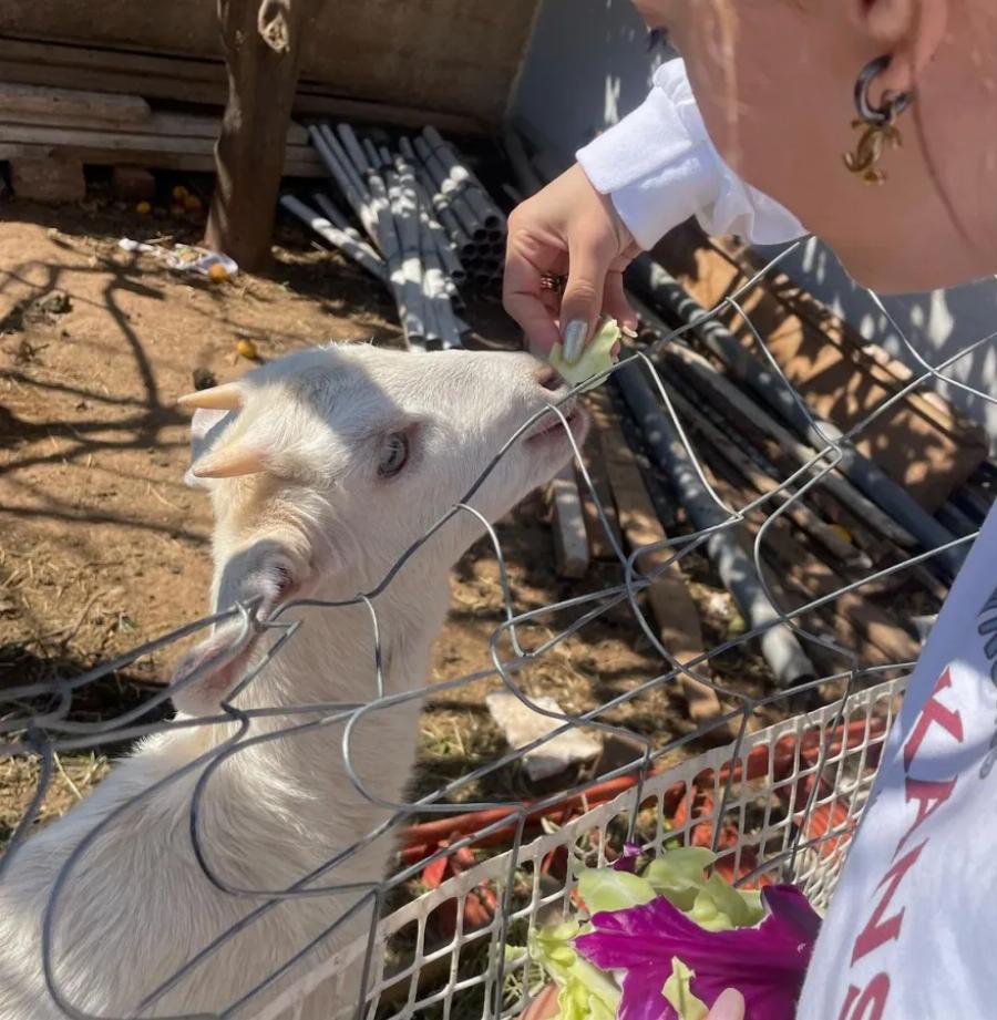 H Ελένη Φουρέιρα πέρασε την αργία της 25ης Μαρτίου στην εξοχή και μοιράστηκε τις υπέροχες στιγμές