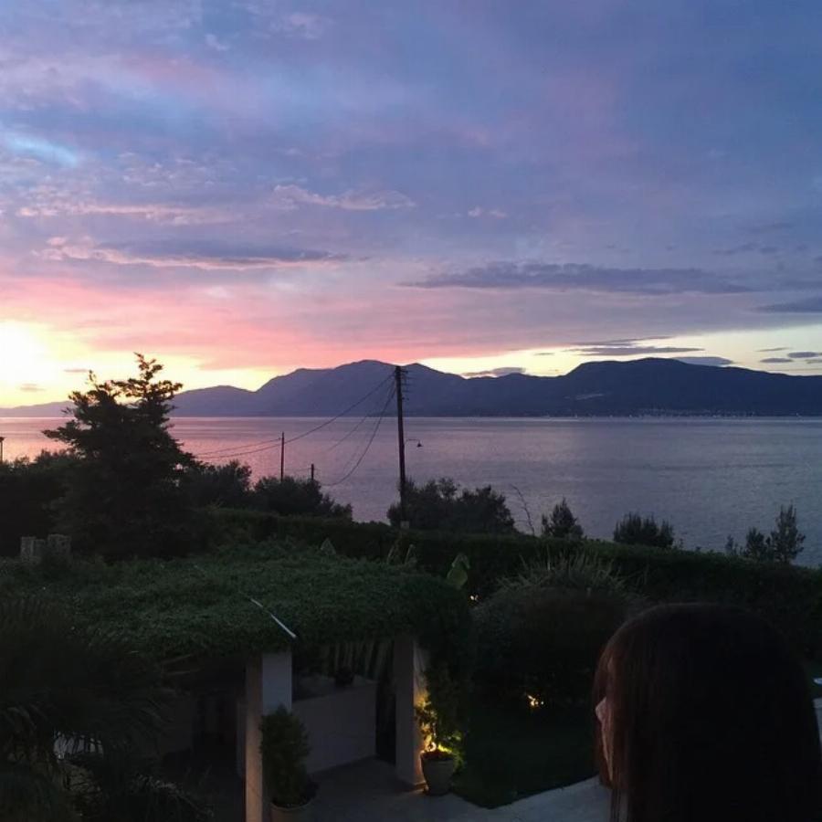 Στεφανίδου – Ευαγγελάτος: Έχουν και δεύτερη βίλα, το πολυτελές εξοχικό με θέα και τεράστια πισίνα