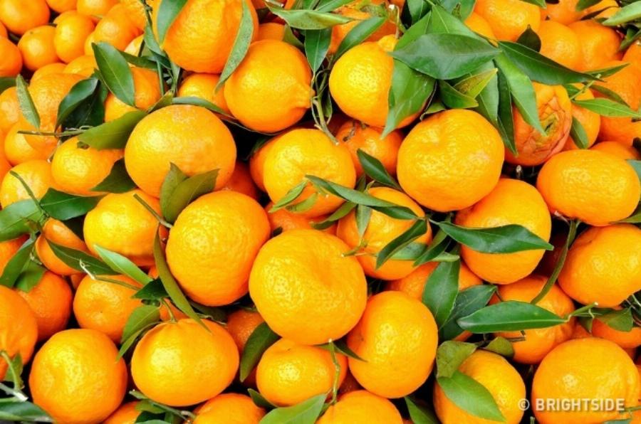 Έντεκα δύσκολα τεστ για παρατηρητικούς ανθρώπους που λίγοι καταφέρνουν να τα βρούνε όλα