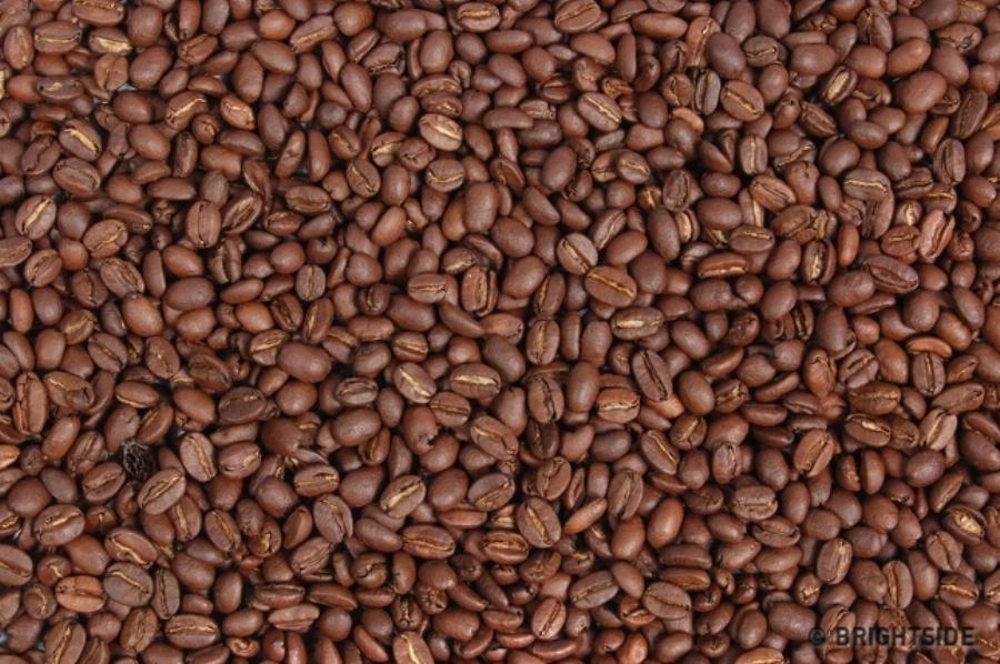 Έντεκα δύσκολα τεστ για παρατηρητικούς ανθρώπους που λίγοι καταφέρνουν να τα βρούνε όλα